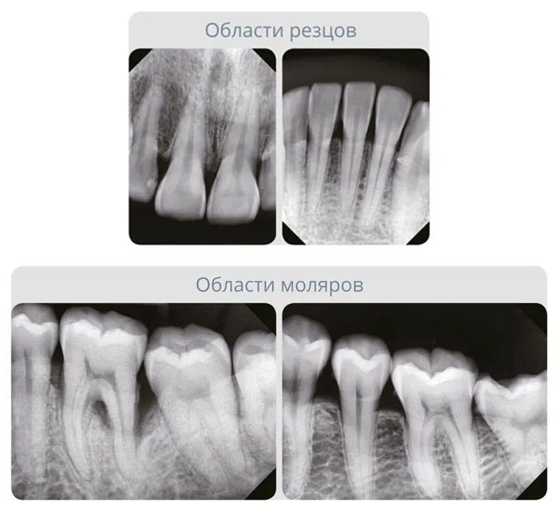 загруженное (7).jpeg