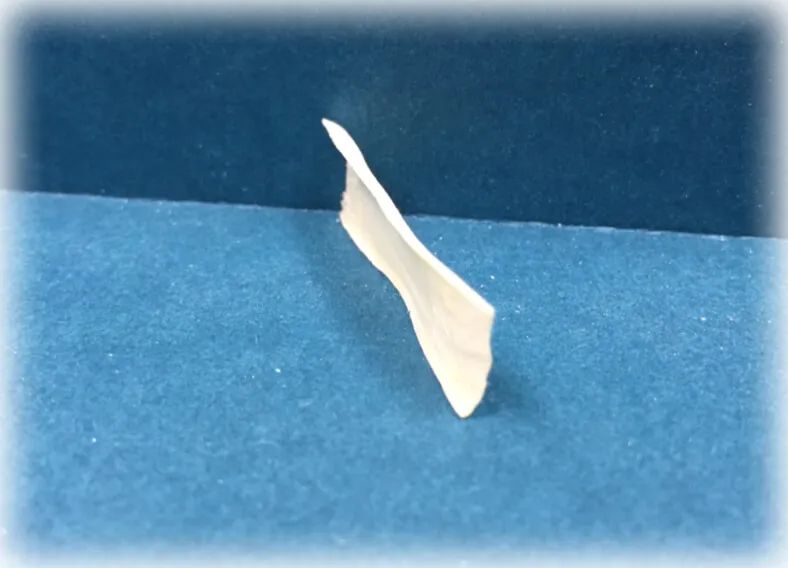 Биоматрикс мембрана жесткая, размер 15х25мм