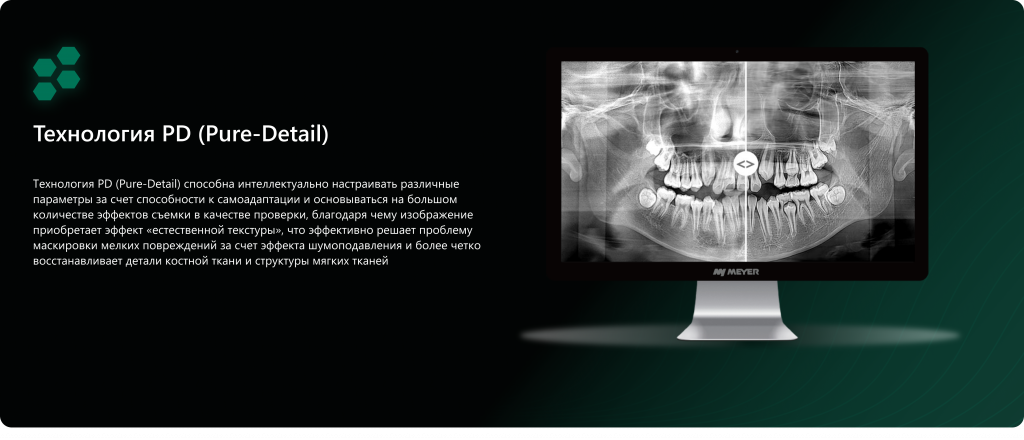 Frame 1000002220.png