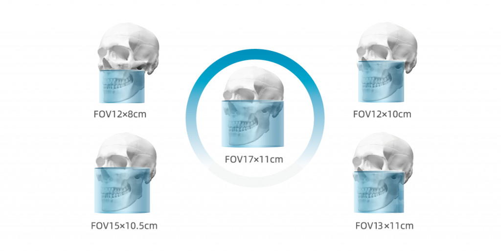 Frame 1000002205.png